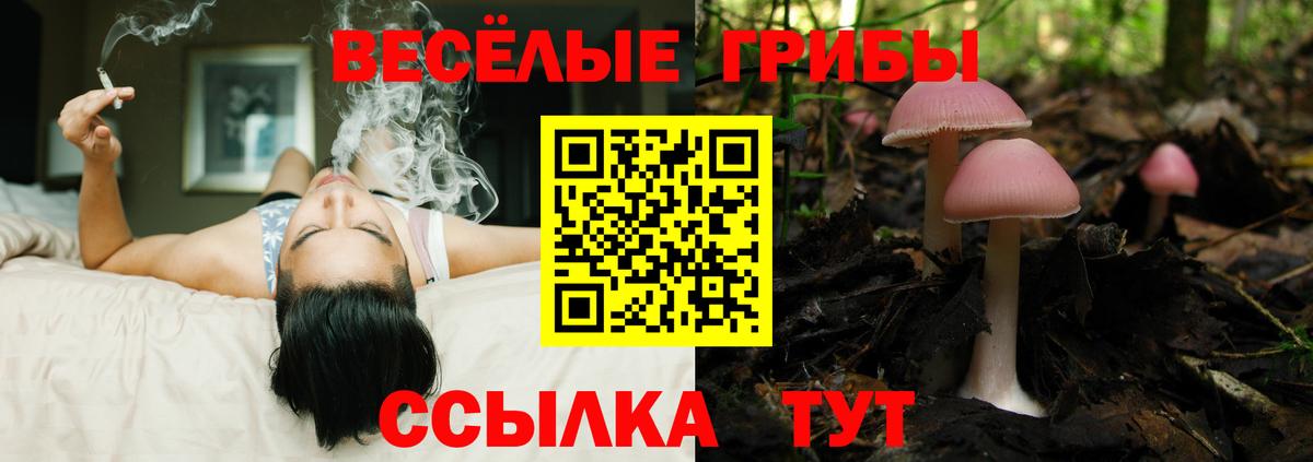 Пенза  Псилоцибиновые грибы мицелий  Вход с VPN 